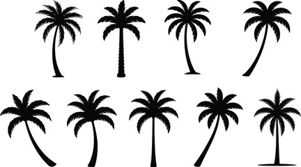 Set of palm tree silhouettes, black tropical vector icons, summer coconut trees for beach, island, nature, travel, and vacation illustrations.
