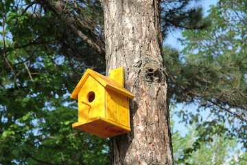 Colorful birdhouses mounted on trees in Yerevan Botanical Garden, Armenia 