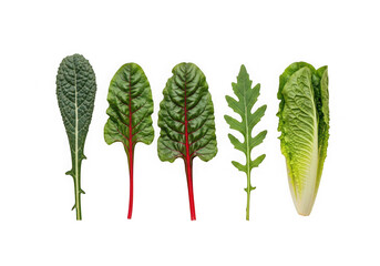 A vibrant collection of fresh, healthy leafy green vegetables, including kale, chard, mustard greens, and romaine lettuce, isolated on a transparent background