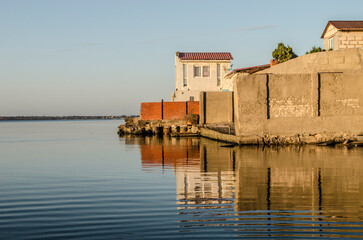 Fototapeta premium White swans swimming on the horizon of the estuary. Seascape with birds.