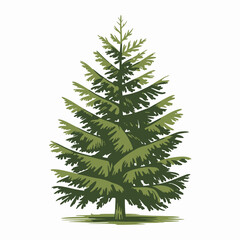 Hemlock Tree Vector Outline | Evergreen Conifer Silhouette | Forest Illustration