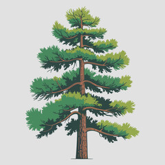 Larch Tree Vector Outline | Deciduous Conifer Silhouette | Forest Illustration