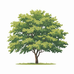 Rain Tree Vector Outline | Silhouette Illustration | Tropical Shade Tree