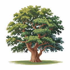 Rosewood Tree Vector Outline | Hardwood Tree Silhouette | Tropical Forest Illustration