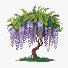 Wisteria tree 