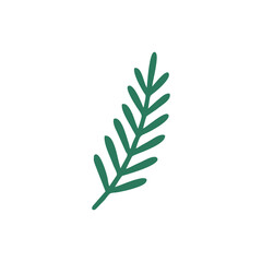 Christmas pine branch illustration in flat style, minimalist evergreen foliage element for holiday decorations, winter season graphics, festive design assets, and seasonal branding