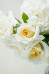 Closeup of white roses bouquet with green leaves in soft natural light