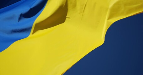 The National flag of Ukraine waving in the wind. - Powered by Adobe