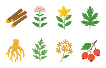 Collection of healing herbs and plants illustration with vibrant colors