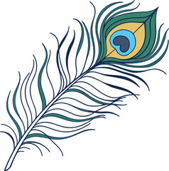 Single peacock feather with iconic eye pattern isolated on a plain background