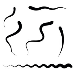Worms and snakes, spermatozoa, wavy lines. Flat vector illustration isolated on white