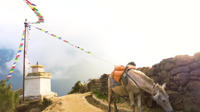 Cinematic Camera Footage of Namche Bazaar, Nepal &ndash; Himalayan Culture, Markets, and Mountain Life