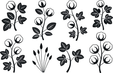 Black and white cotton plants with leaves illustration art