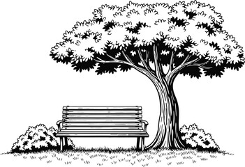 Park bench sits beneath a large tree providing shade in a peaceful scene