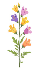 PNG A wildflower clip art illustration design plant.