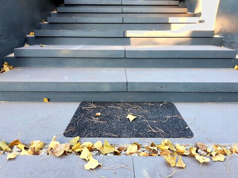 Concrete stairs with black doormat and dry autumn leaves scattered on the ground. Urban seasonal background, city details and minimal street scene.