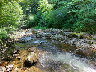 stream Lobnica in green summer forest. Pohorje mountain, Slovenia