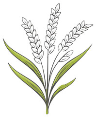 Stylized Rice Stalks with Green Leaves Graphic Illustration, Agriculture Concept