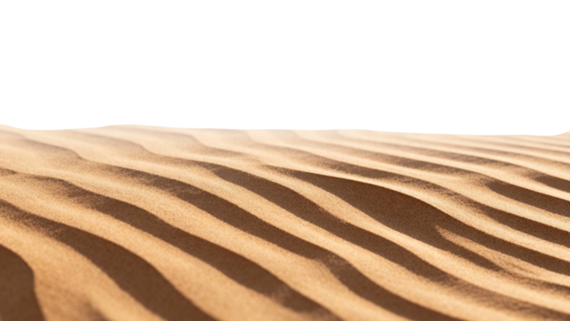 Warm golden sand patterns create smooth texture under bright sunlight in an open desert landscape