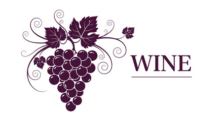 Elegant illustration features a stylized cluster of deep purple grapes with delicate leaves and tendrils accompanied by the word WINE.