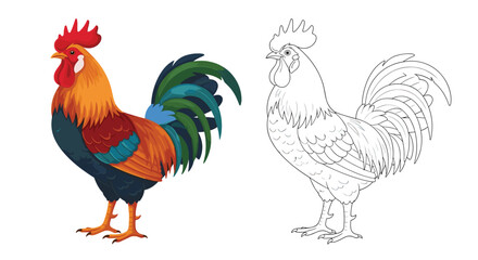 Colorful rooster illustration standing proudly next to its detailed black and white line art outline ready for coloring.