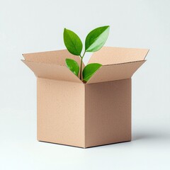 A small green plant with vibrant leaves emerges from an open cardboard box against a clean, light gray background. The scene is well-lit, highlighting the contr