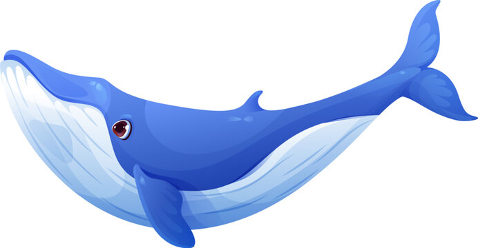 Cartoon blue whale character. Ocean mammal specie cute isolated personage, marine animal funny vector character. Oceanarium wildlife big mammal, whale happy cartoon personage or cheerful mascot