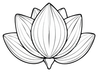 Stylized lotus flower outline drawing with radiating petal lines