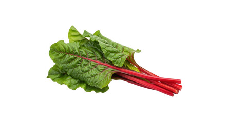 Fresh red swiss chard isolated on transparent background