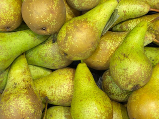 Fresh ripe organic pears as a background. Autumn harvest, fruits, vegan food or gardening concept with copy space. Top view. 