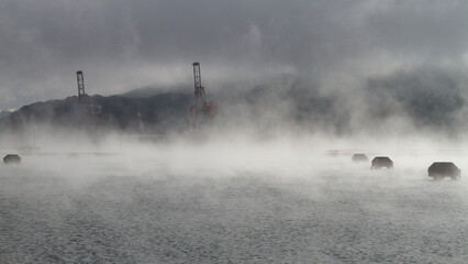 霧に包まれる海とクレーン