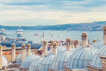 Obraz premium View of the Bosphorus Strait and the Asian side of Istanbul from the Suleymaniye Mosque garden.