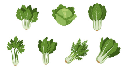 Set of fresh green vegetables isolated on white background