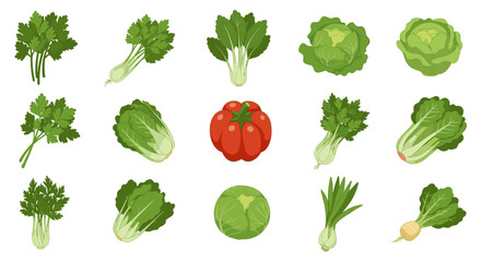 Fresh vegetables collection featuring cabbage, pepper, and onion in flat style