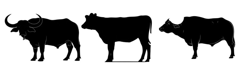 Set of diverse buffalo illustrations in multiple colors