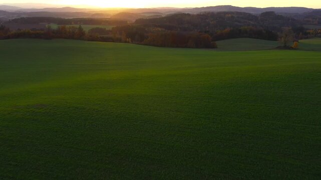 Wheat field in the sunset. Drone flight over green fields. Organic farming in Central Europe. Production of food and biomass for sustainable management.	
