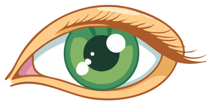 Vibrant cartoon human eye illustration featuring a striking green iris and dark pupil