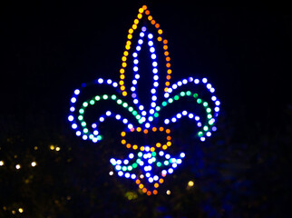fleur de lis in lights