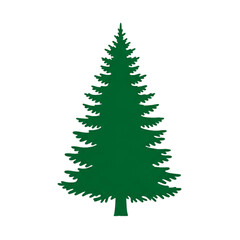 A simple green evergreen tree standing tall for the winter season.