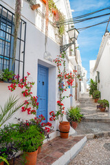 Narrow street of Frigiliana, Malaga, Andalusia, Spain. Cozy Andalusian town with white houses, flowers, colorful doors and windows. White Village. Travel concept
