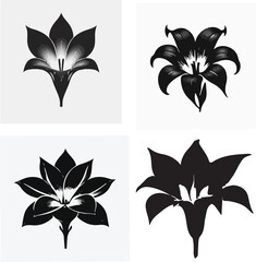 Obraz premium Black and white lily flower illustrations with stylized petal structures and graphic botanical elegance