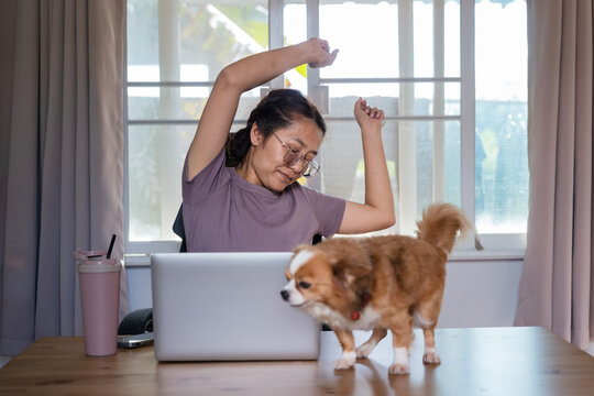 Asian woman stretching arms to relax from office syndrome while working at home with happy Chihuahua dog