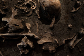 Ancient human fossil archaeological site