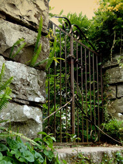 Old iron gate in a stone wall with plants and ferns