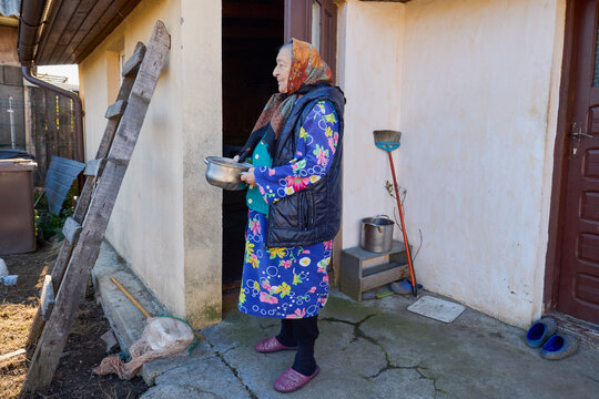 An old woman from the country does household chores, feeding and caring for the chickens.