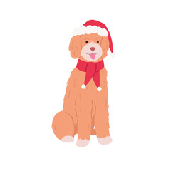 Dog wearing a Christmas Outfit Vector. Cute Poodle character dressed in a Santa hat and red scarf on a white background. Cheerful puppy illustration for seasonal designs
