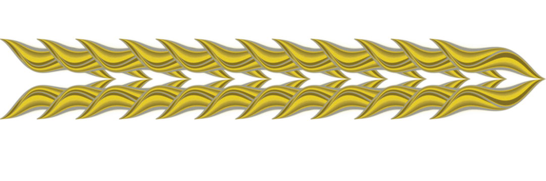 This image features a golden abstract symmetric wave pattern on a black background. The design appears fluid and dynamic, with mirrored curves and ribbon-like shapes forming a continuous ornamental 