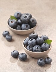 Blueberry are small, round, dark purple fruits that resemble grapes.