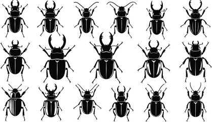 Set of beetle silhouettes, stag beetle, rhinoceros beetle, insect icons, bug vector illustration collection, nature wildlife design, isolated on white background, black shape © Farzana