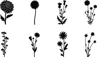 PrintFlower silhouette, black vector, floral shape, botanical design, petal structure, nature illustration, white background, graphic element, stem detail © Creatives World